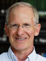 סטיב  פסברג