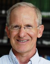 סטיב  פסברג