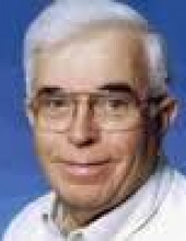 שמחה  קוגוט